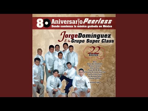 Siempre pierdo en el amor