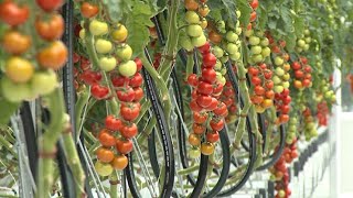 Ինդեքս 18.09.2020