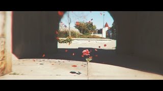 Peace Keeper - &quot;Back(petal)&quot; (Official Music Video)