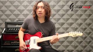 Video thumbnail for ESP LTD TE-212  Review By POP WORAVIT by POP WORAVIT