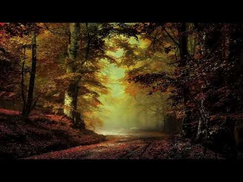 ABC Classic 100 Swoon - The Top 10