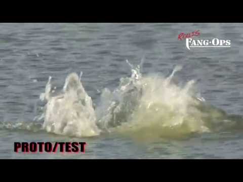 Going Beast Mode: Topwater Prototypes Test