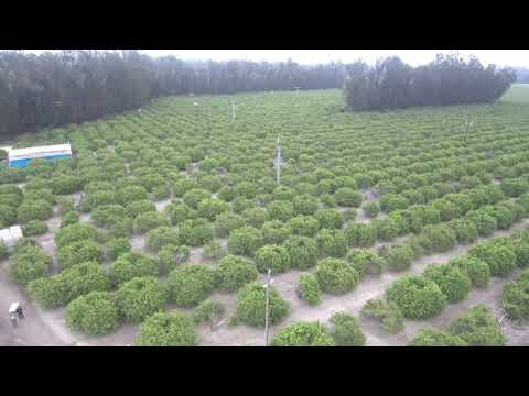 Somis California. Drone View. (Mi Drone 4k)