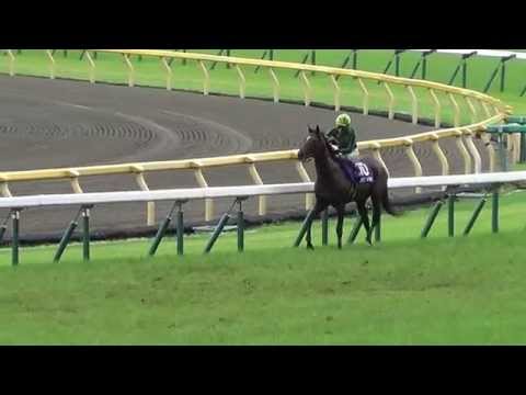 安田記念 ジャスタウェイ YASUDA MEMORIAL Just  a Way winning run