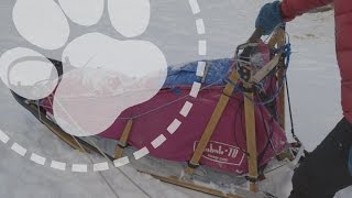 Mushing Explained: Designing the perfect dog sled