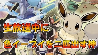 【神回】ライブ配信で色イーブイを2匹出す神【ポケモンSM】