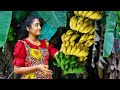 Banana Recipes Creamy Desserts Chips And Black Curry Cooked In My Sri Lankan Village Kitchen