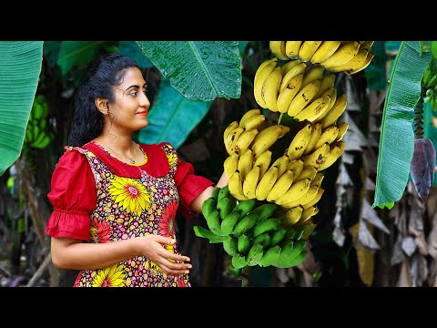 Banana Recipes π Creamy Desserts Chips and Black Curry Cooked in My Sri Lankan Village Kitchen