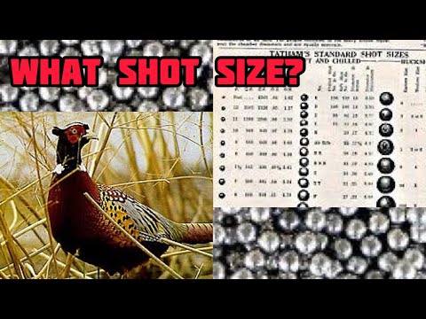 Shot Size for Pheasant Hunting? 4,5, or 6?