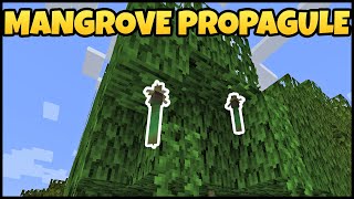 How To Get MANGROVE PROPAGULE In MINECRAFT