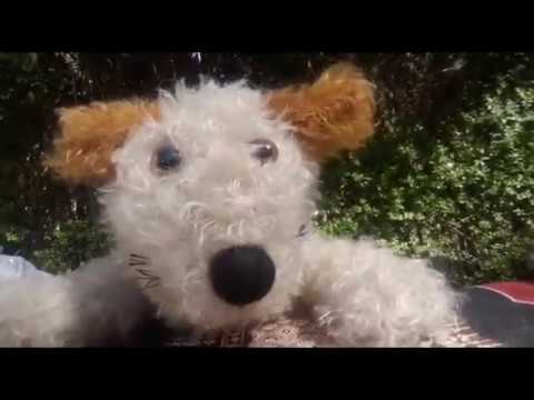 Lutz & Zwei schräge Vögel