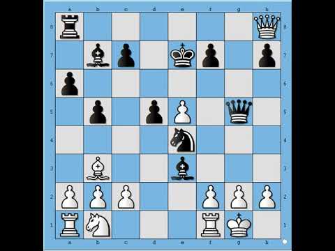 Isforsirao je pobedu fantastičnim potezom ■ HONAN vs MARDLE # 1981