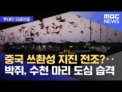 아이콘