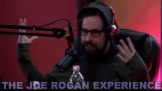 Joe Rogan Experience #329 - Duncan Trussell