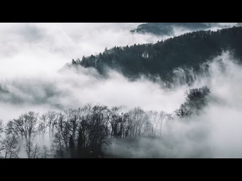 Why Delayed Deliverances? -John Piper, #328