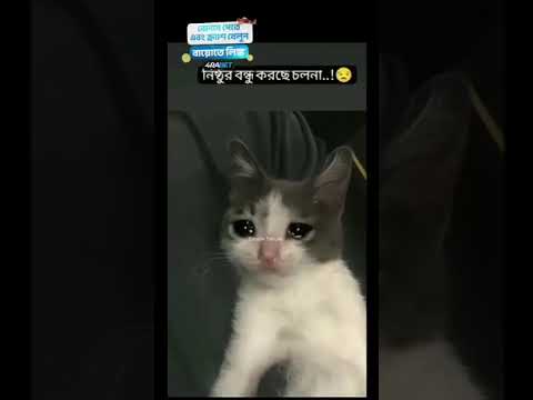 hasika khajana 🤔🤔