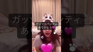 tiktokライブ　インスタライブ　パンチラ