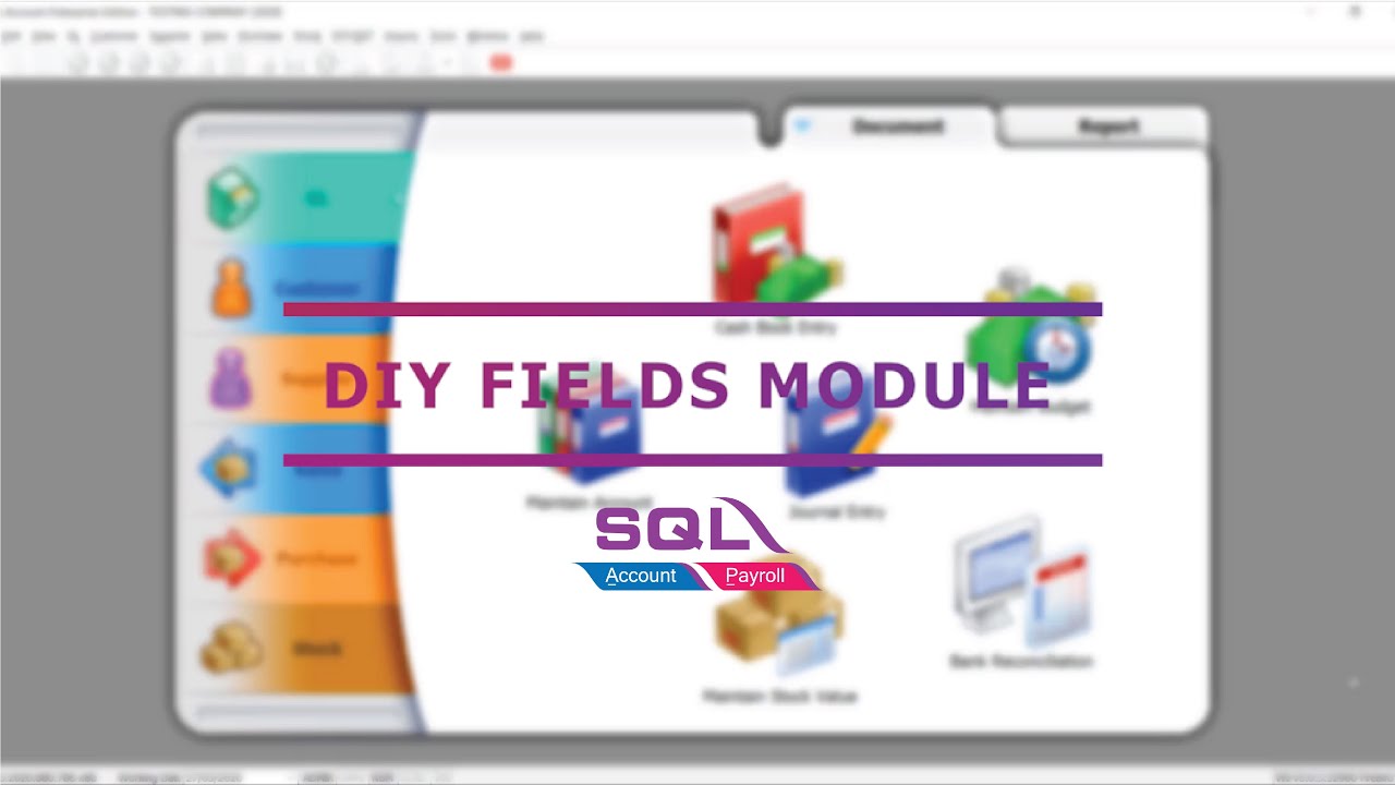 DIY FIELDS - SQL Accounting Software