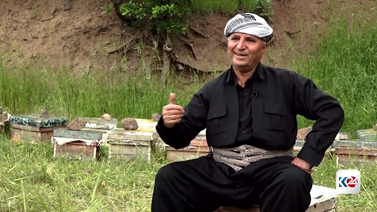 ڤیدیۆ | هەنگەوانی لە دەڤەری باڵيکایەتی