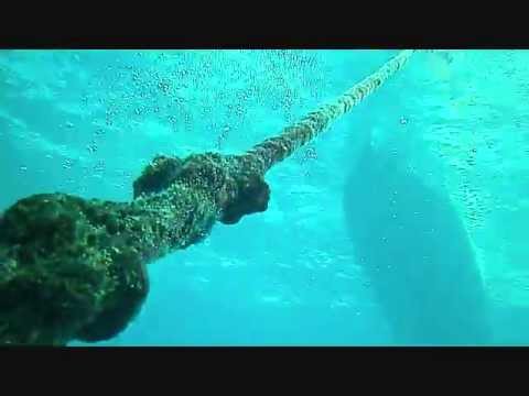 PlayadelCarmen reef2