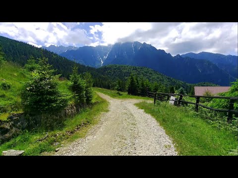 Drumetie Gura Diham Poiana izvoarelor cabana Diham