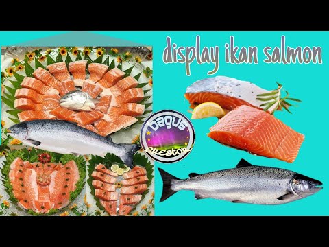 Exibir peixe salmão especial do Transmart Emporium Pluit Mall