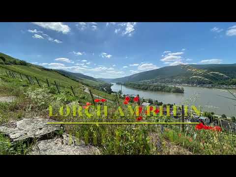 Lorch am Rhein| Rheingau