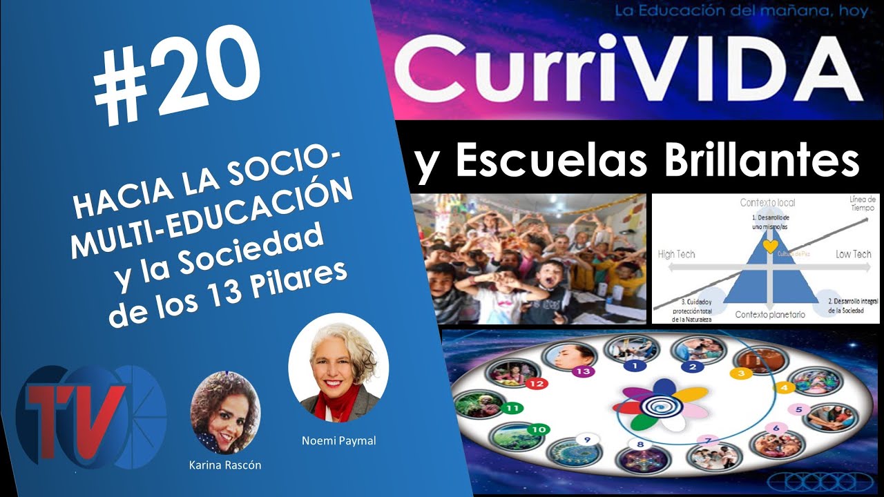 #20/20 Socio-Multi-Education and the 13 Pillar Society