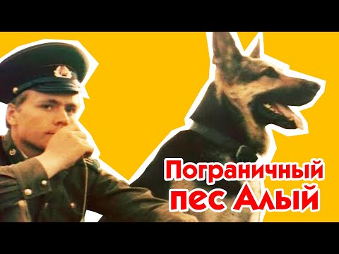 Пограничный пес Алый (1979)