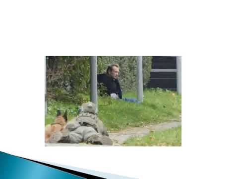 Peter Madsen: submarine murderer recaptured after Denmark jail escape