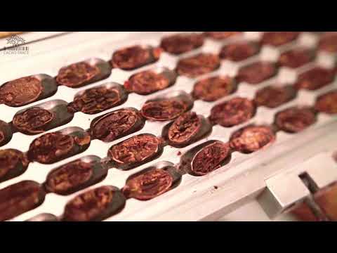 Cacao Trace Fermentation Process - Episode 6