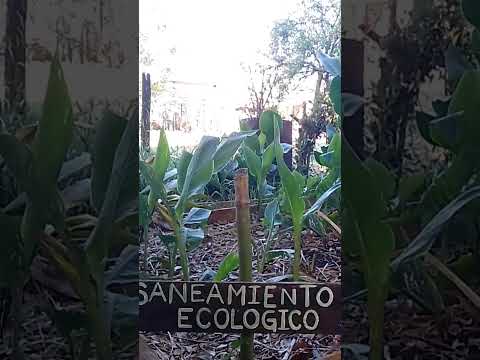 Saneamiento ecológico en Nueva Helvecia, Colonia