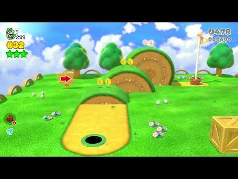 Super Mario 3d World (Switch) 2-4/10-1 Speedruns Time 25