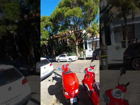 41 Simmons Street Enmore Auction by Ricky Briggs