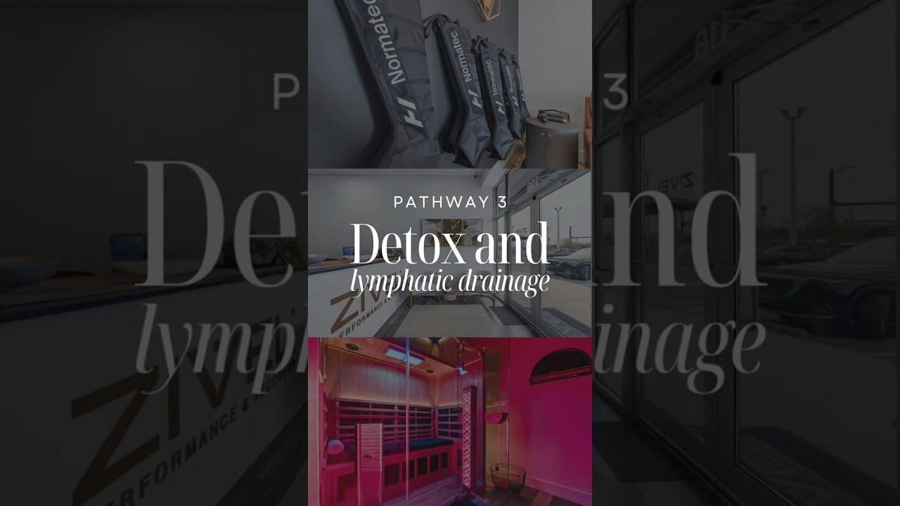 Pathway 3 - Detox & Lymphatic Support