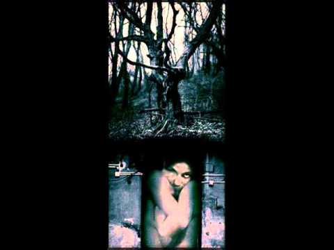 Hetumoger - Lappangó