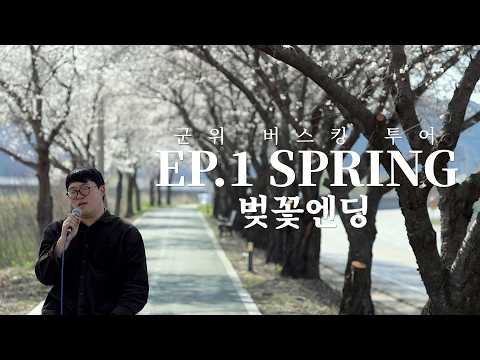군위 버스킹 투어 EP.1 SPRING by WELOVE &#39;벚꽃엔딩&#39;