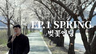 군위 버스킹 투어 EP.1 SPRING by WELOVE '벚꽃엔딩'