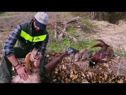 fausti-stefano-arms: Fausti Caledon: a caccia con il sovrapposto calibro 12