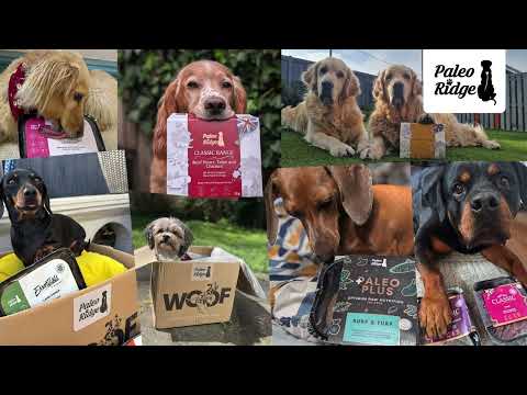 Paleo Ridge Raw Dog Food | Feed Better. Naturally.