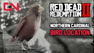 Red Dead Redemption 2 - Northern Cardinal Bird Location - Perfect Cardinal Carcass