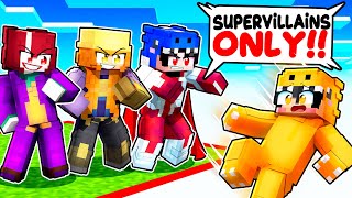 ONE BLOCK But We're SUPERVILLAINS in Minecraft!
