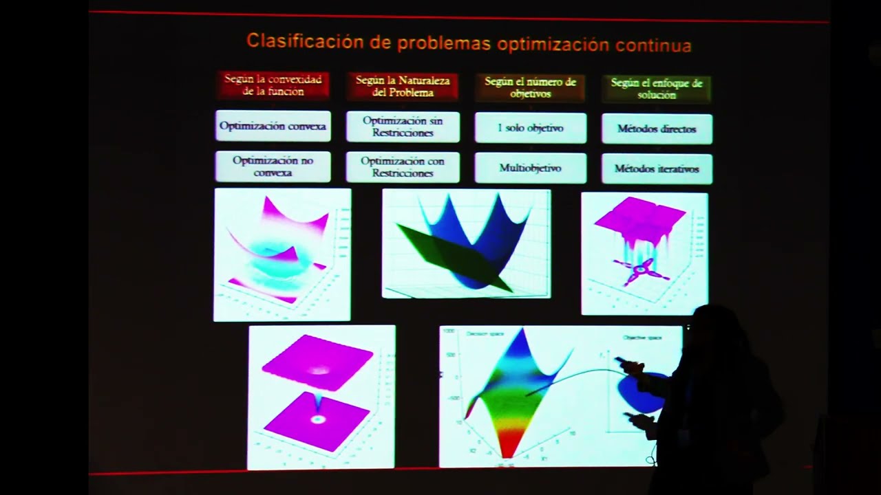 NEO2024: Visión General sobre Optimización Continua, Dra. Miriam Pescador Rojas, ESCOM-IPN.