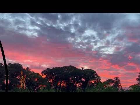 Makare - Taura Tale | SkiiNoX & SouthXiide Dj Remix 🇫🇯 tb🥲