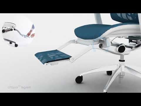 IFCO - IOO Ergonomic Chair 人體工學椅 (US material)