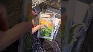 This Pokemon Card Is Headed to Its Forever Trainer 💛