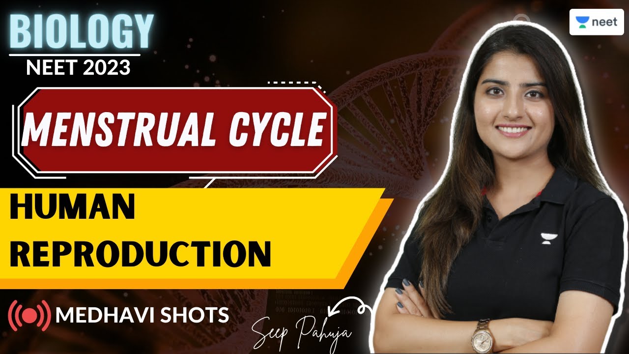 Menstrual Cycle | Human Reproduction | Medhavi shots | Seep Pahuja