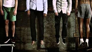 KIZ-ein Affe und ein pferd