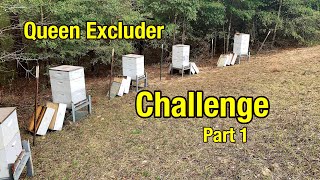 preview picture of video 'Should I Use Queen Excluders in Honey Bee Hives? Queen Excluder Challenge Part One'