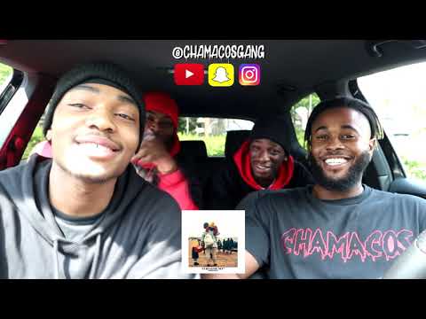 SHIRIN DAVID - FLIEGST DU MIT German Reaction 🇩🇪 🔥